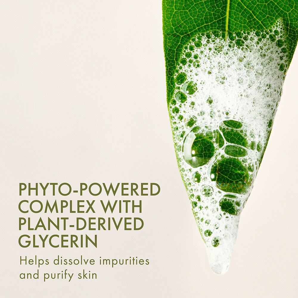 PLANTFUSION™ Conditioning Hand & Body Wash With Phyto-Powered Complex, 200ml