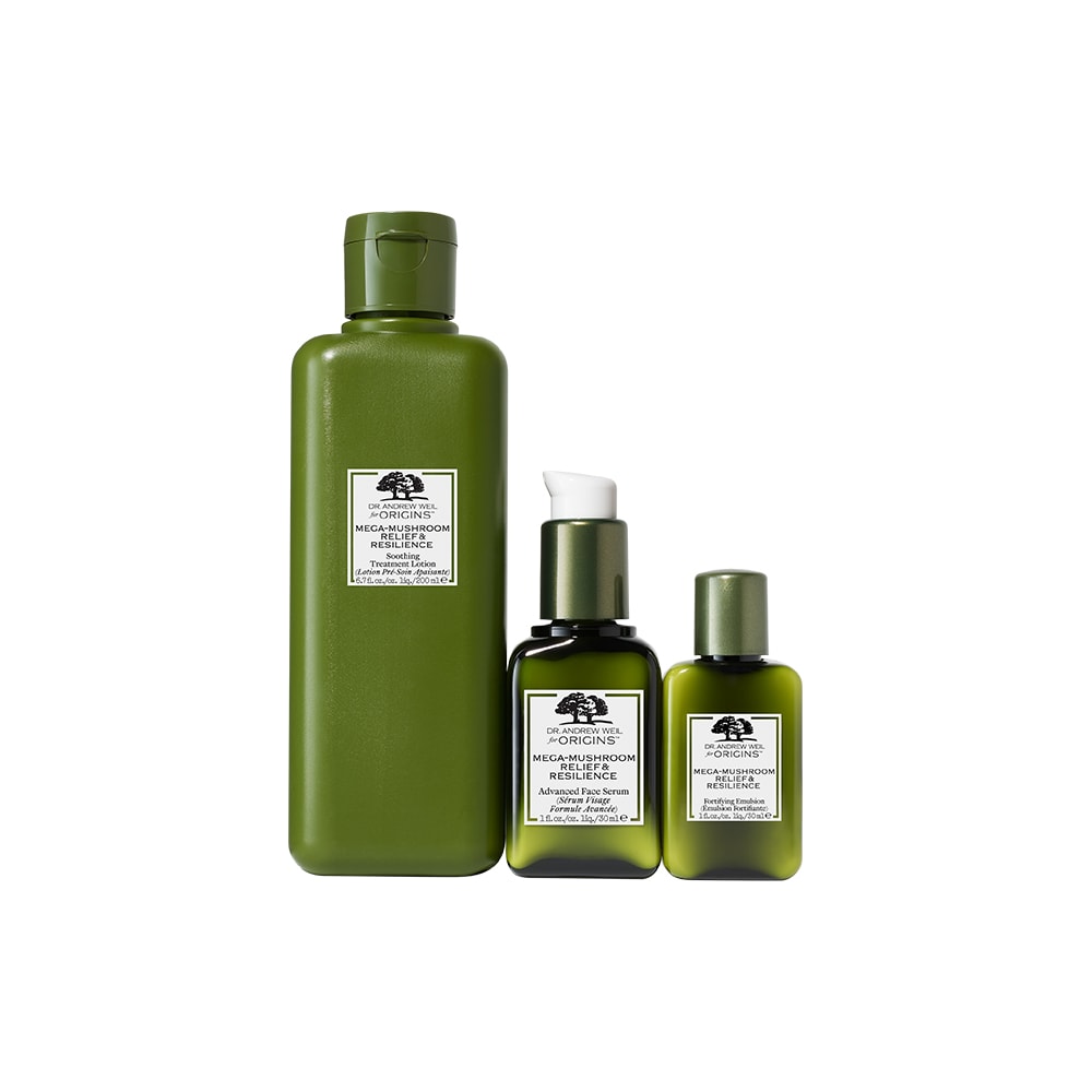 CALM & STEADY Mega-Mushroom Essentials to Soothe & Strengthen, Multi
