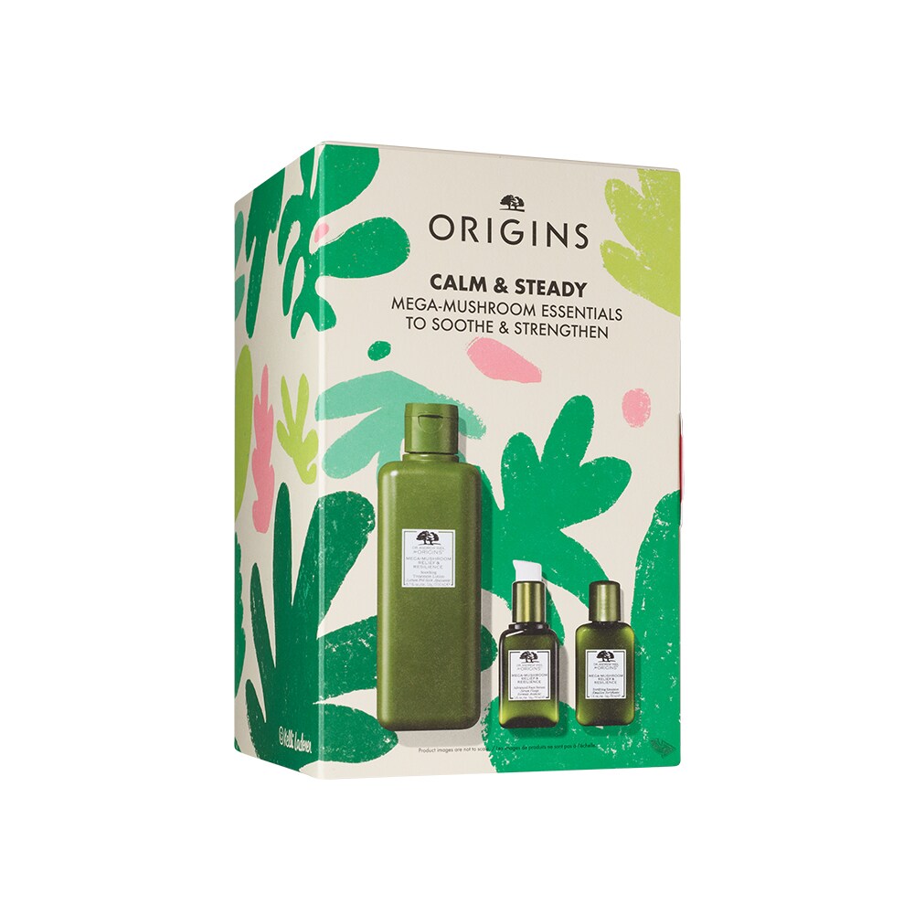 CALM & STEADY Mega-Mushroom Essentials to Soothe & Strengthen, Multi
