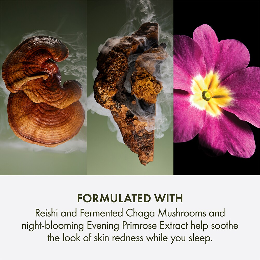Dr. Weil For Origins™ Mega-Mushroom Overnight Moisturizer, 1.7 fl. oz.
