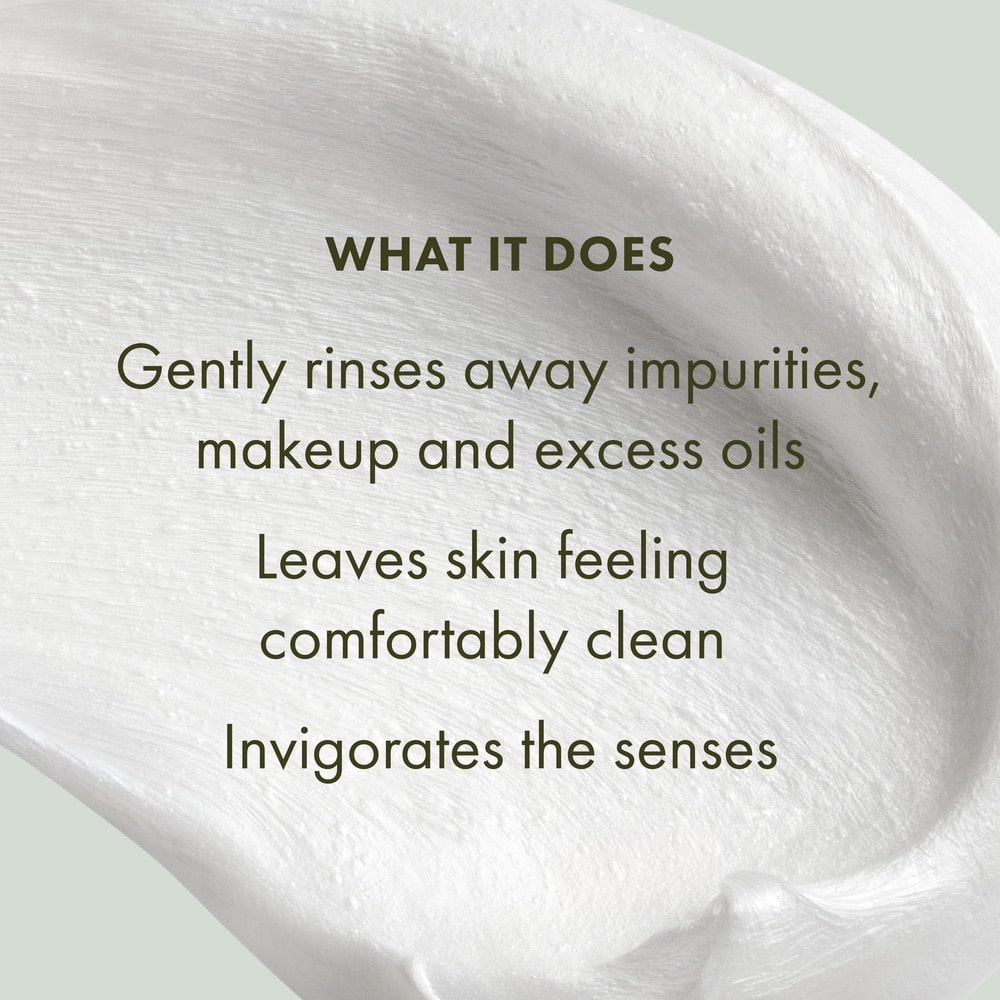 Checks & Balances™ Frothy Face Wash, Full Size + Deluxe Sample