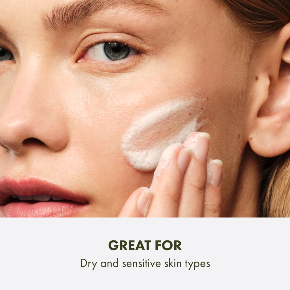 Checks and Balances™ Gentle Foaming Face Wash Home & Away Duo, Full Size + Deluxe Sample